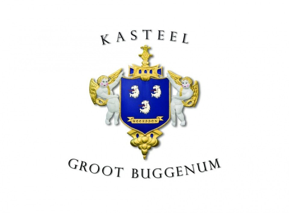 Kasteel Groot Buggenum — photo 2