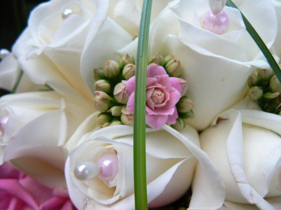 Romy's Bloemboetiek&Deco — photo 2