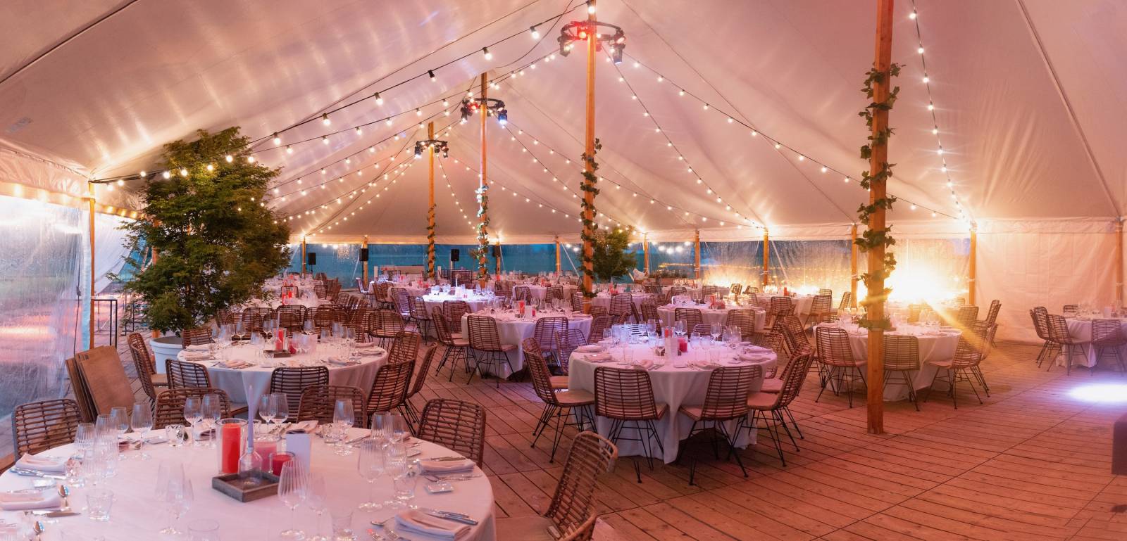 WDM Events — photo 3