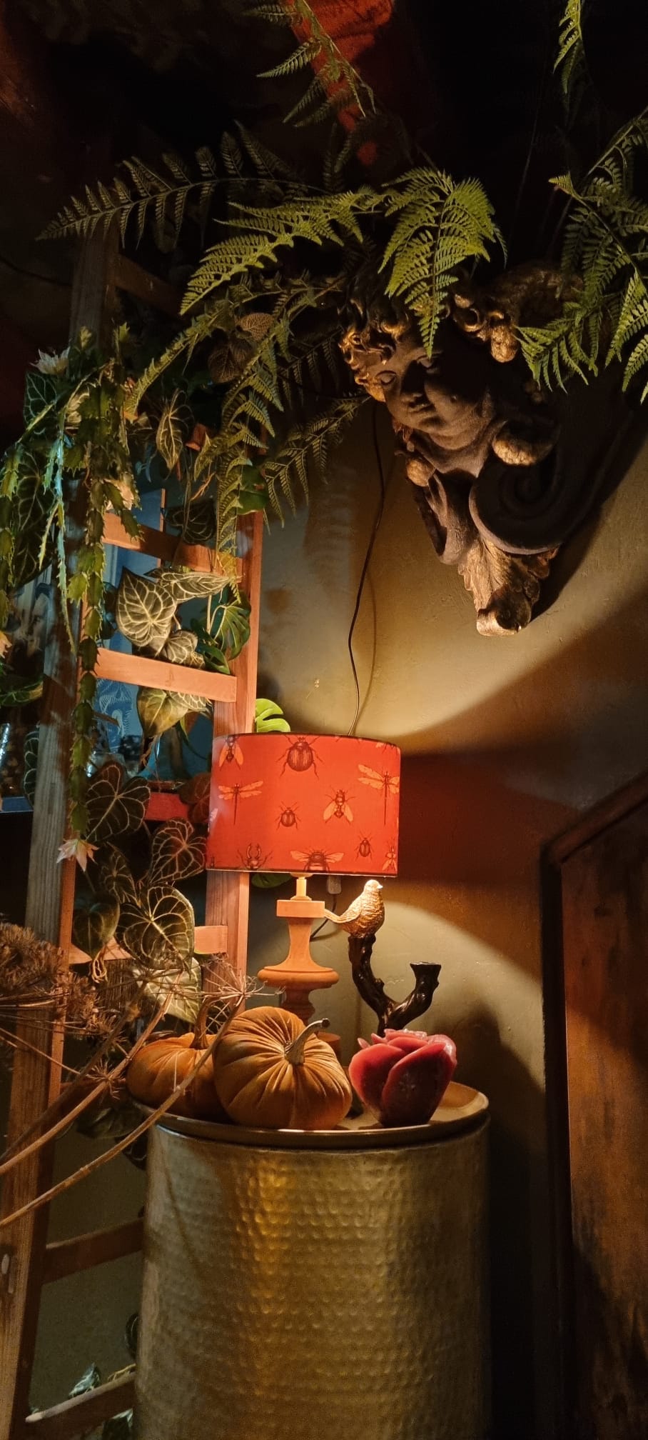 Pluk de dag — photo 2