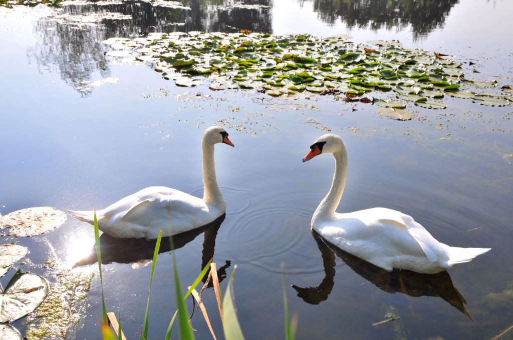 Marieke Mandermaker Fotografie — photo 3