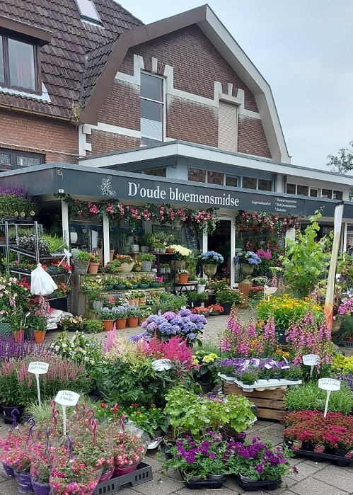 d'Oude Bloemensmidse — photo 4