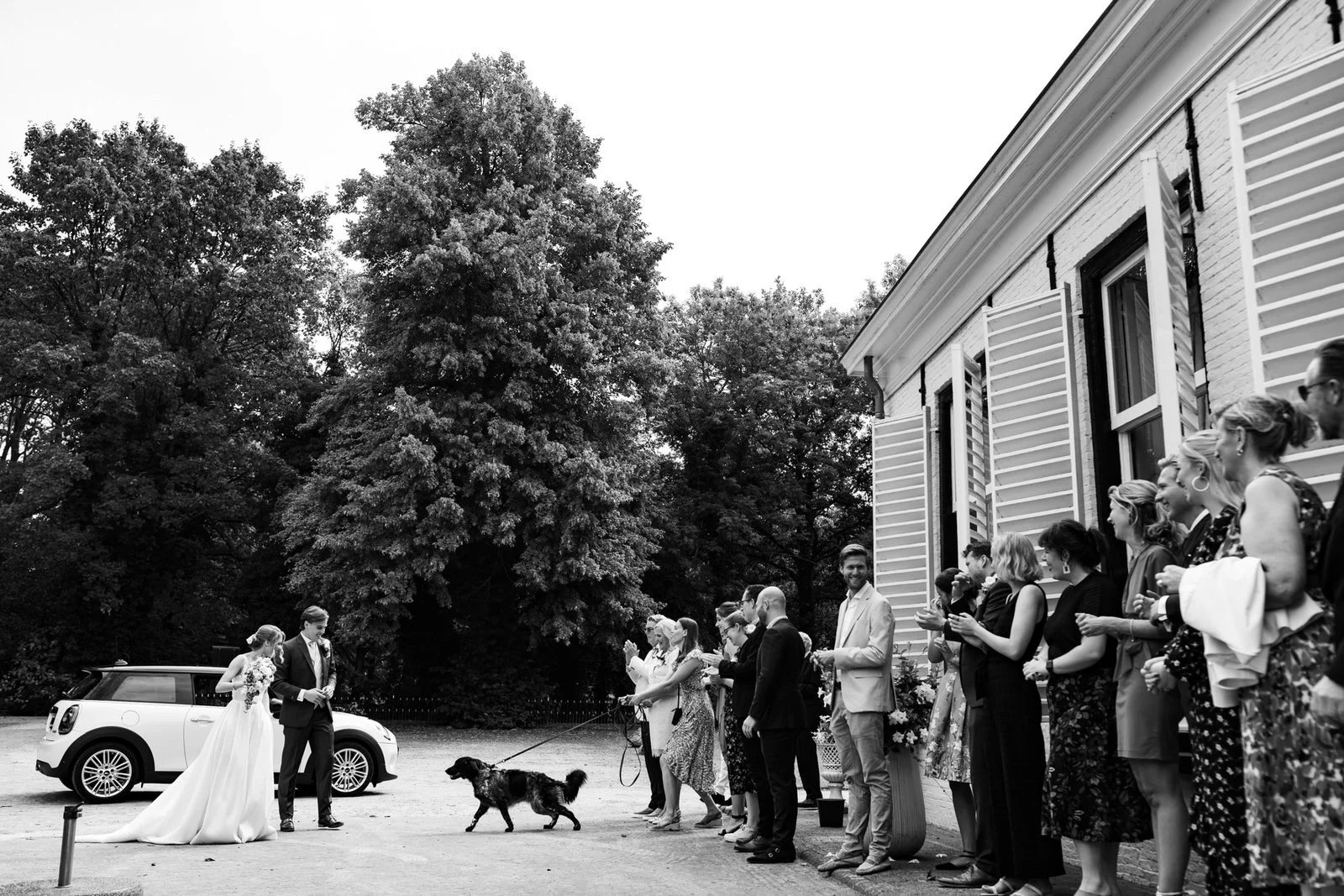 Fardo Dopstra Fotografie — photo 2