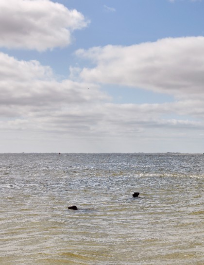 Beleef Lauwersoog — photo 2
