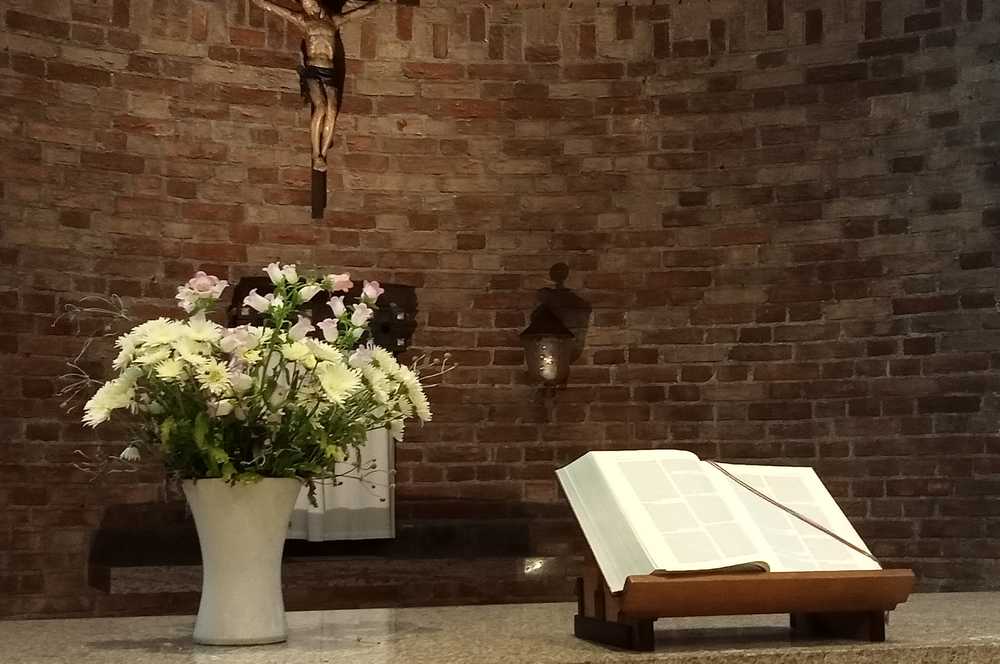 Dominicus Wedding and Events — photo 2