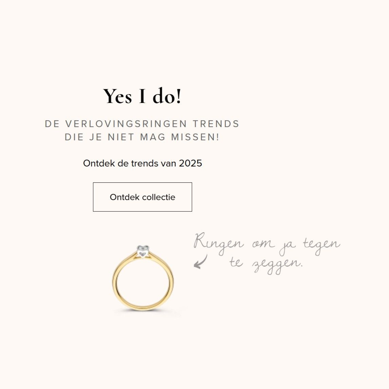 Juwelier Haesen — photo 3