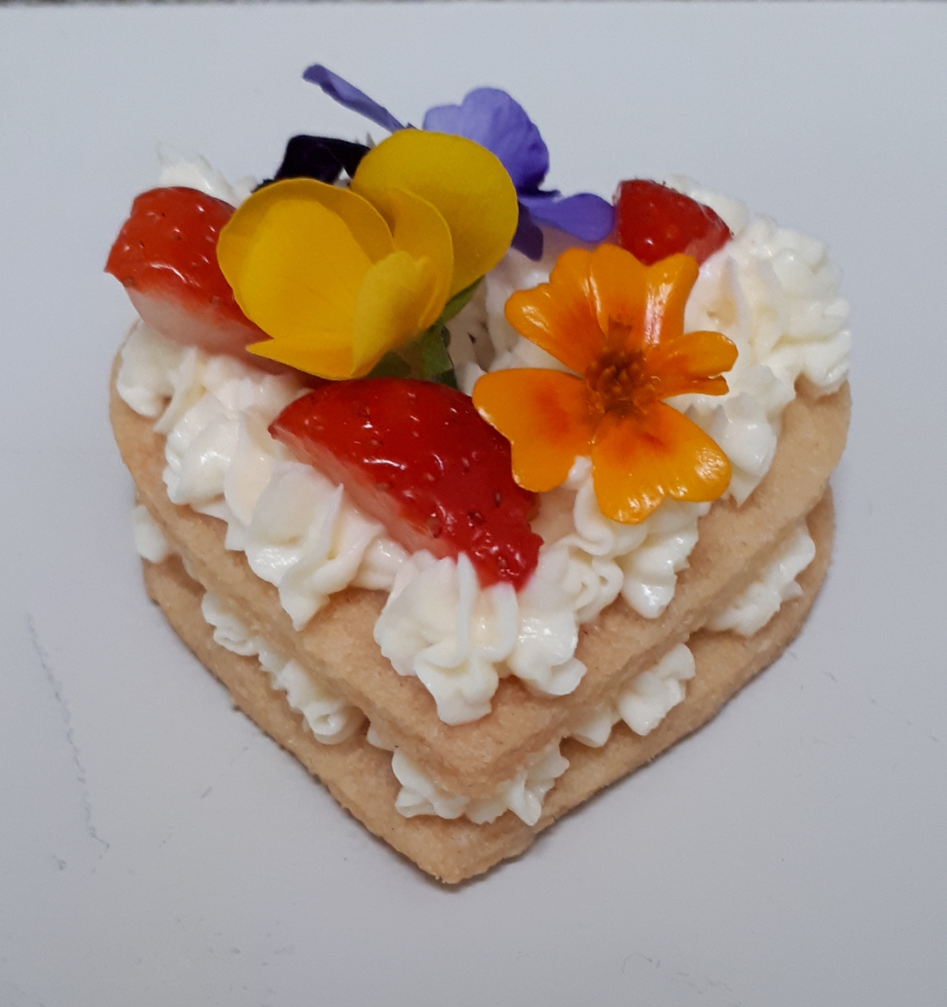 Stichting aan de Bak — photo 5