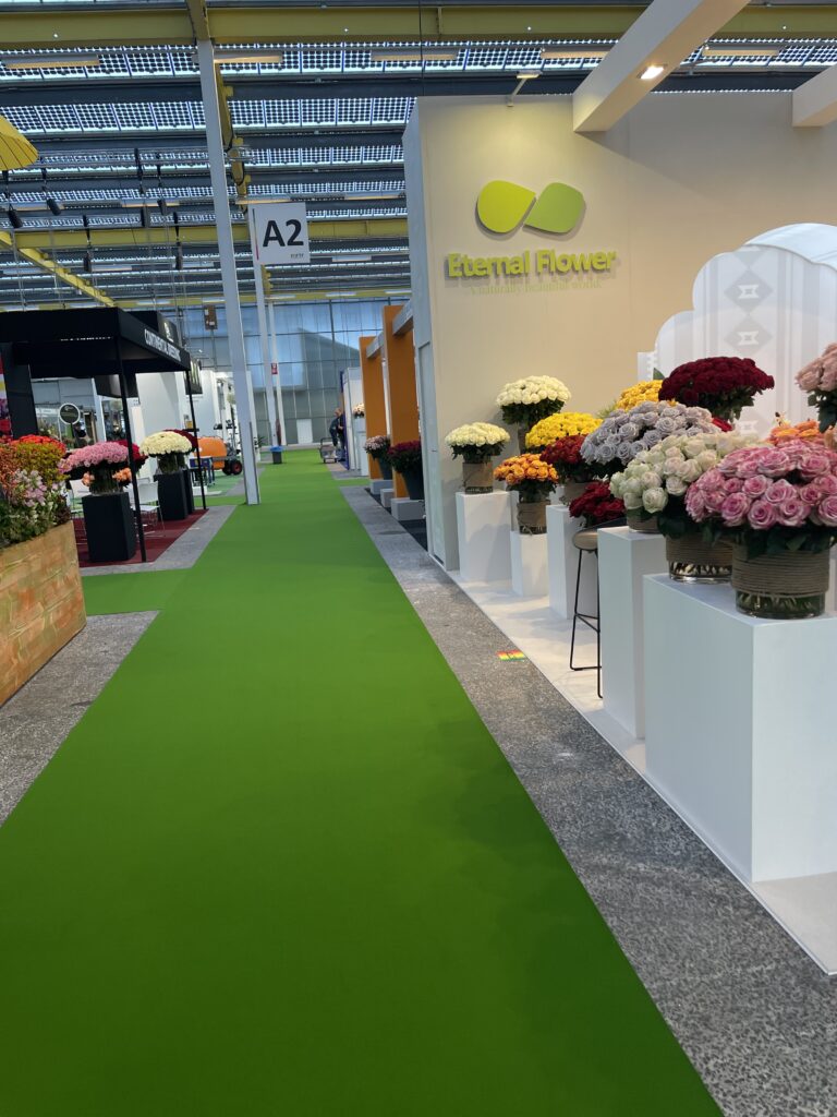 Dutch Event Carpets — photo 4