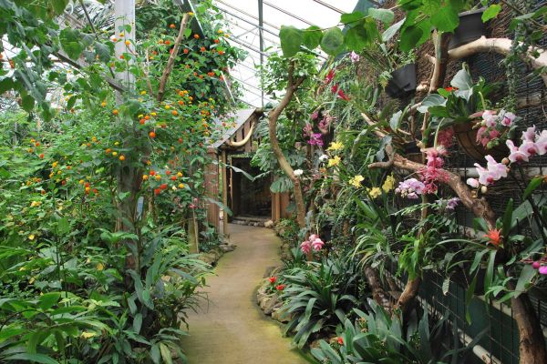 tropicalzoo — photo 3