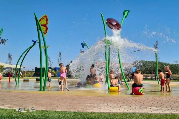 tropicalzoo — photo 4