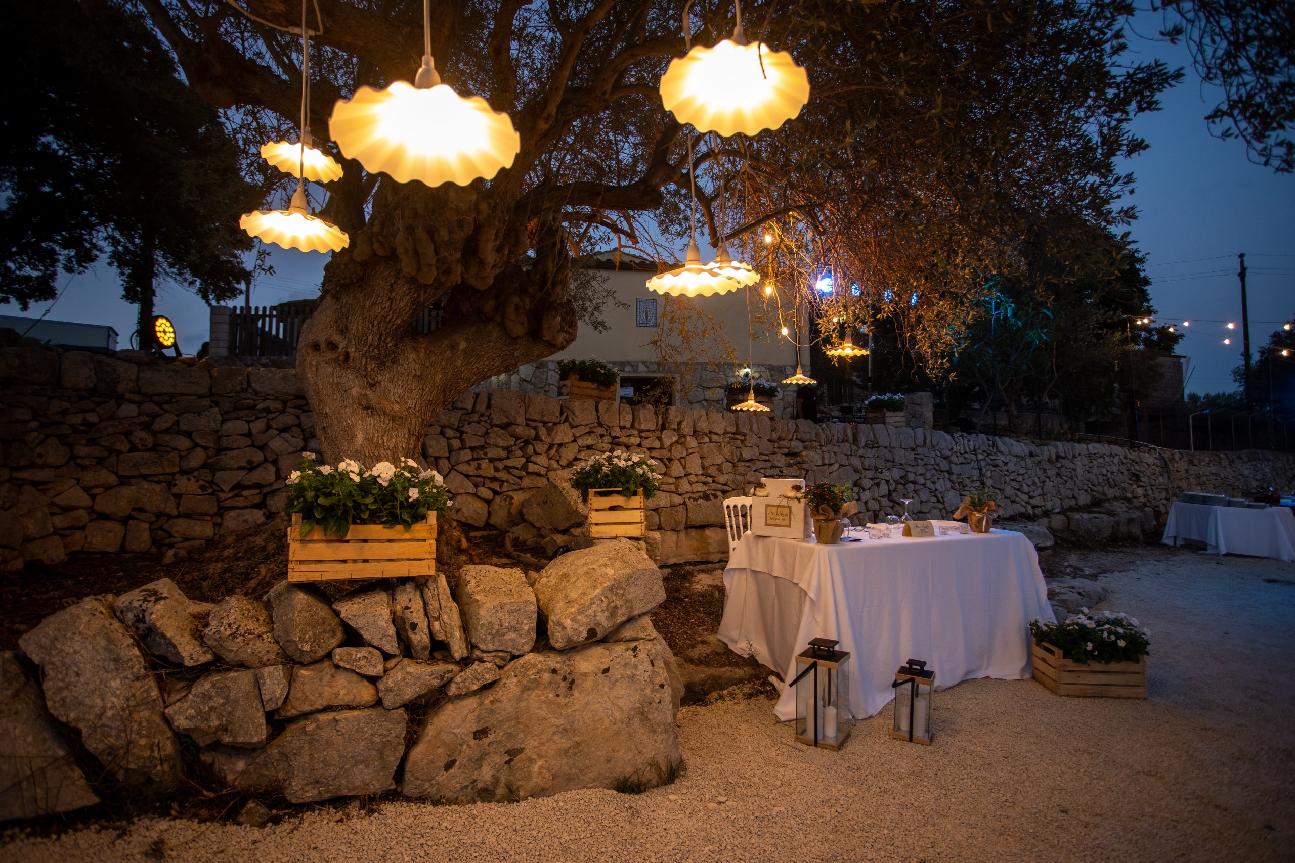 Dixie Wedding Experience — foto 4