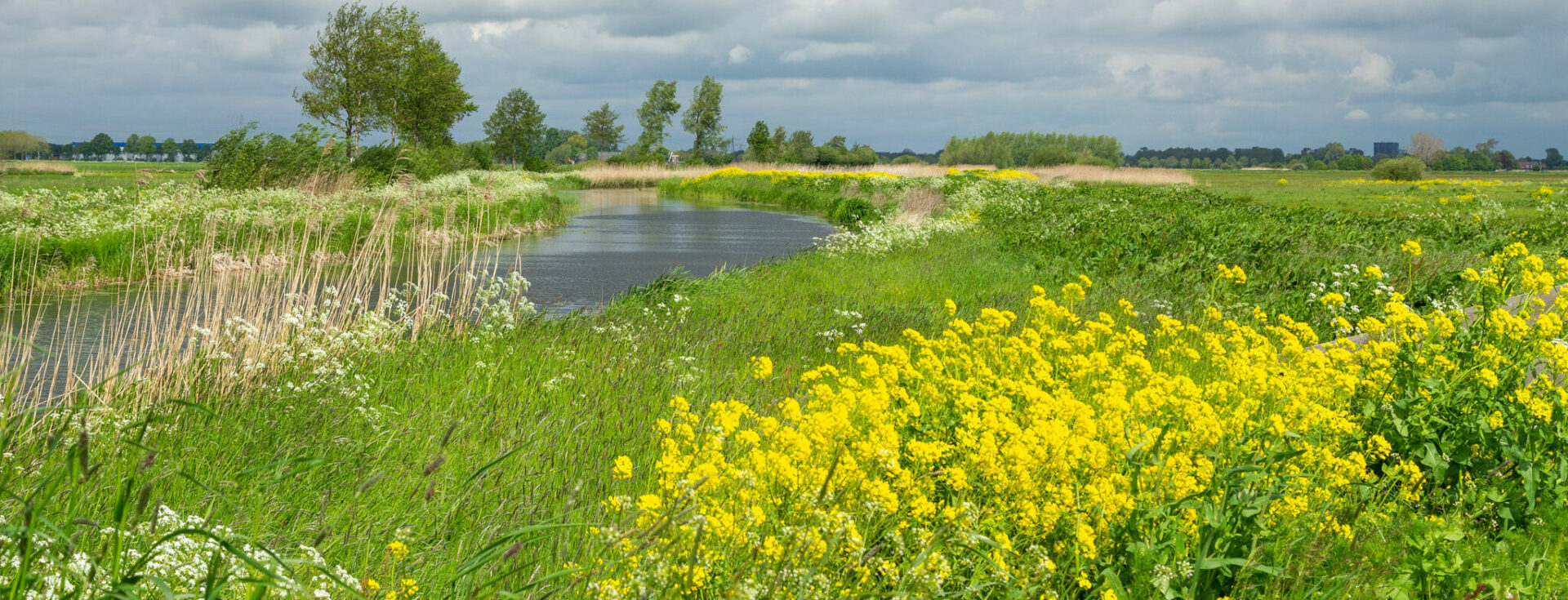 Gemeente Wageningen