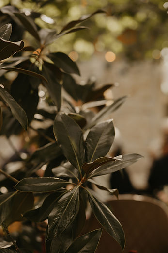 Sanne Coenders Photography — photo 3