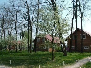 Akác-tanya — photo 2