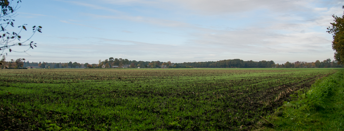 Boshuis 13 — photo 3