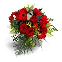 Margriet bloemen en planten