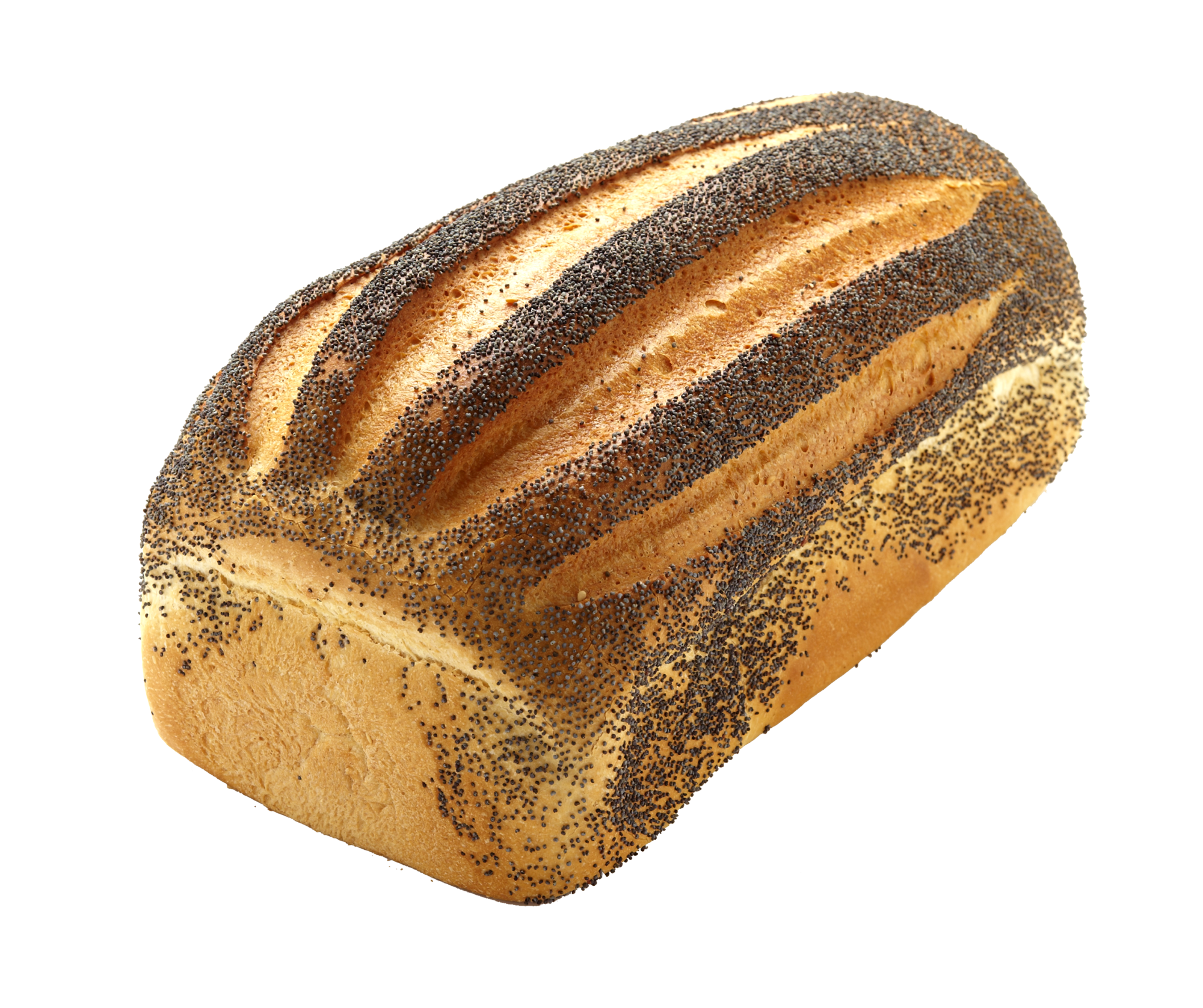 Bakkerij Bekkers — photo 2