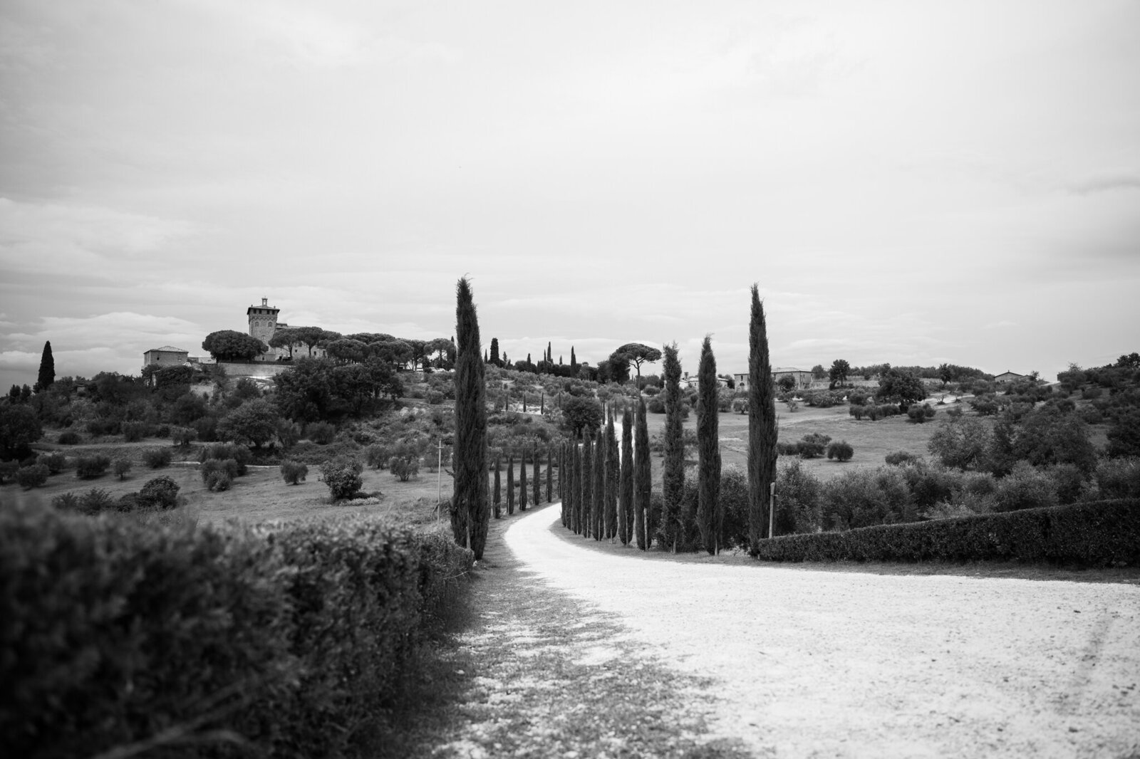 Romy van de Pol — photo 4