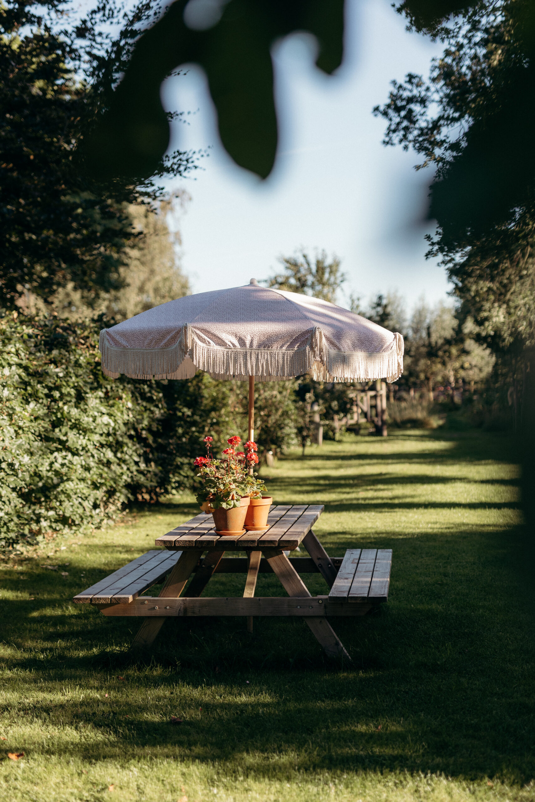 't Heide Huisje — photo 3