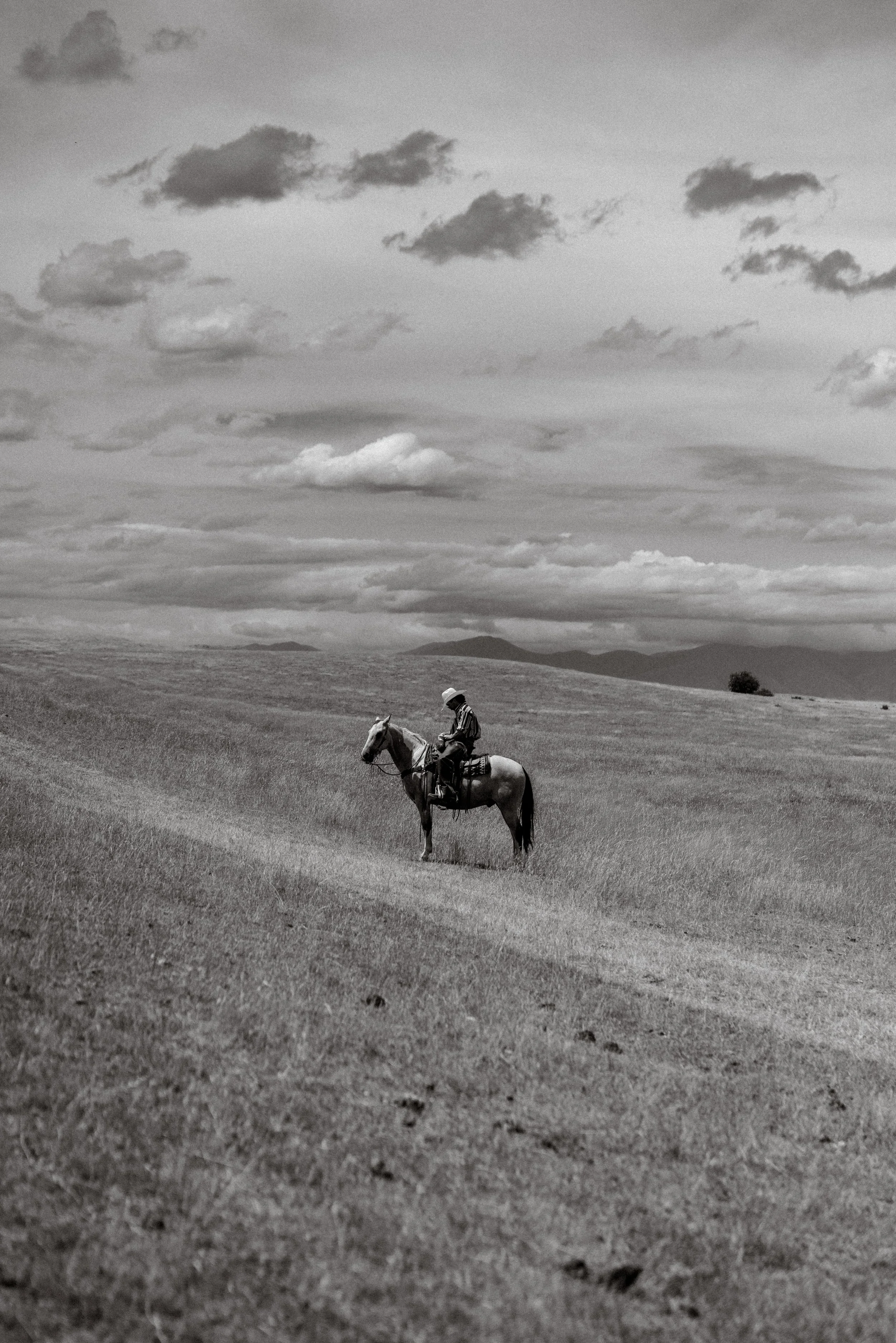 Francine Boer Photography — photo 4