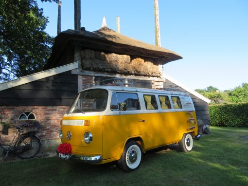 Driving the Dream — photo 2