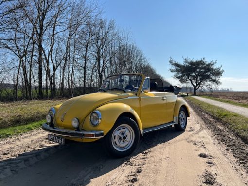 Driving the Dream — photo 5