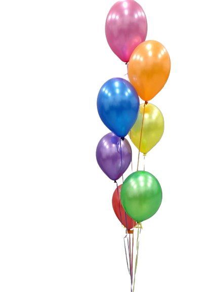 Ballonnenpartners — photo 5