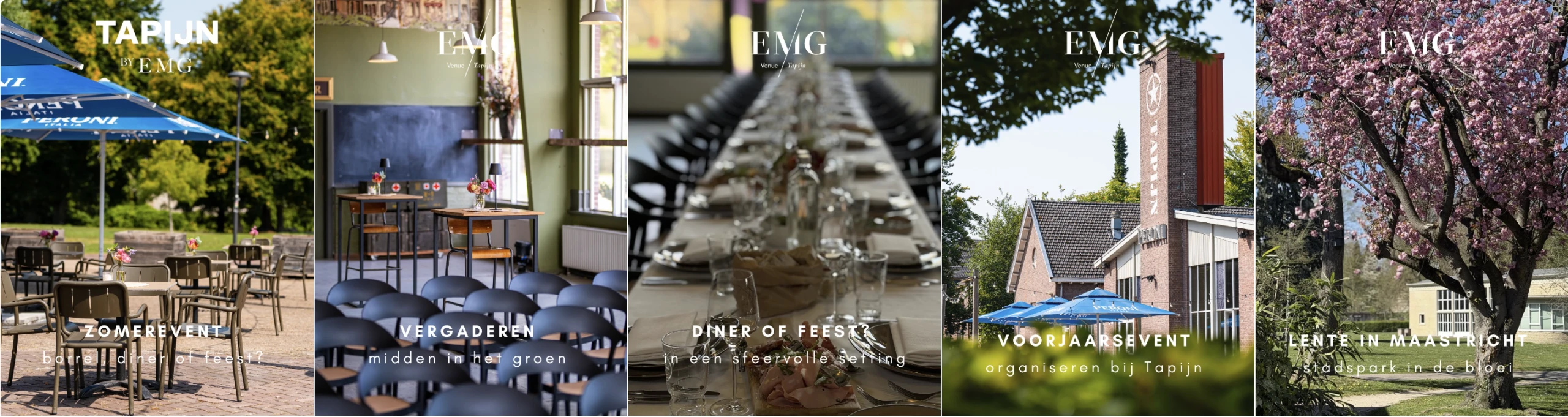 Brasserie Tapijn