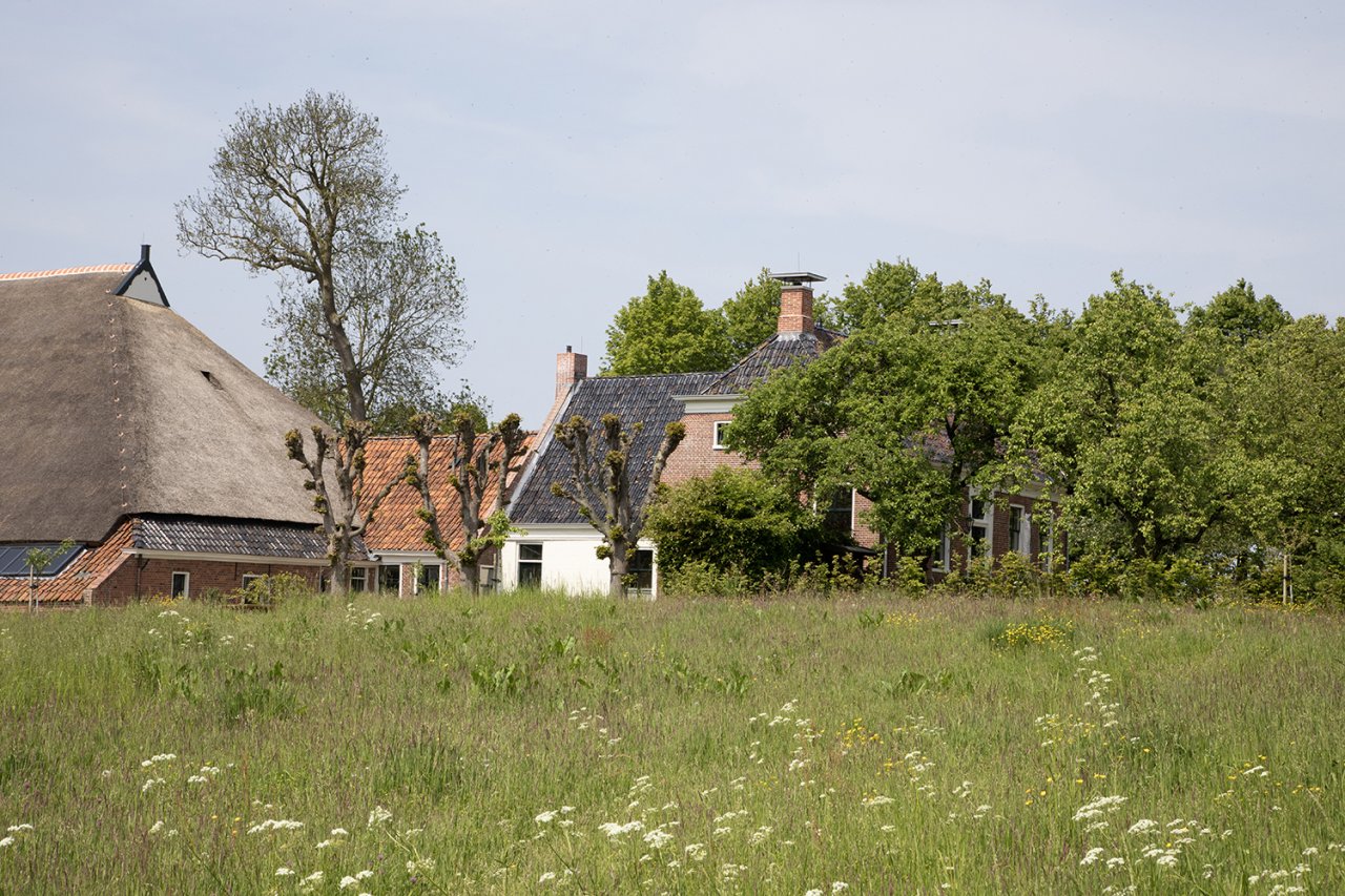 Op Maarhuizen — photo 2
