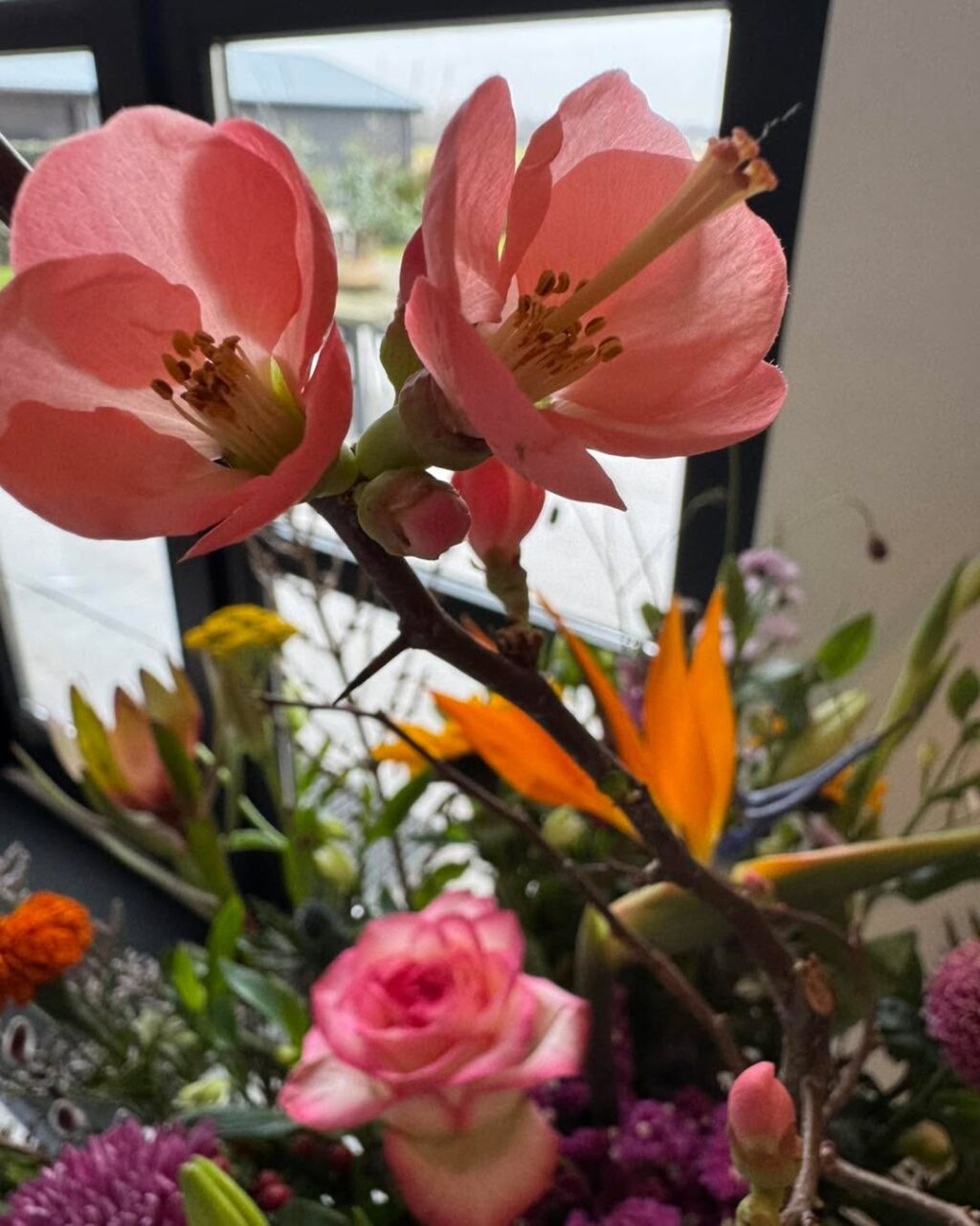 Niels puur!bloemen — photo 2