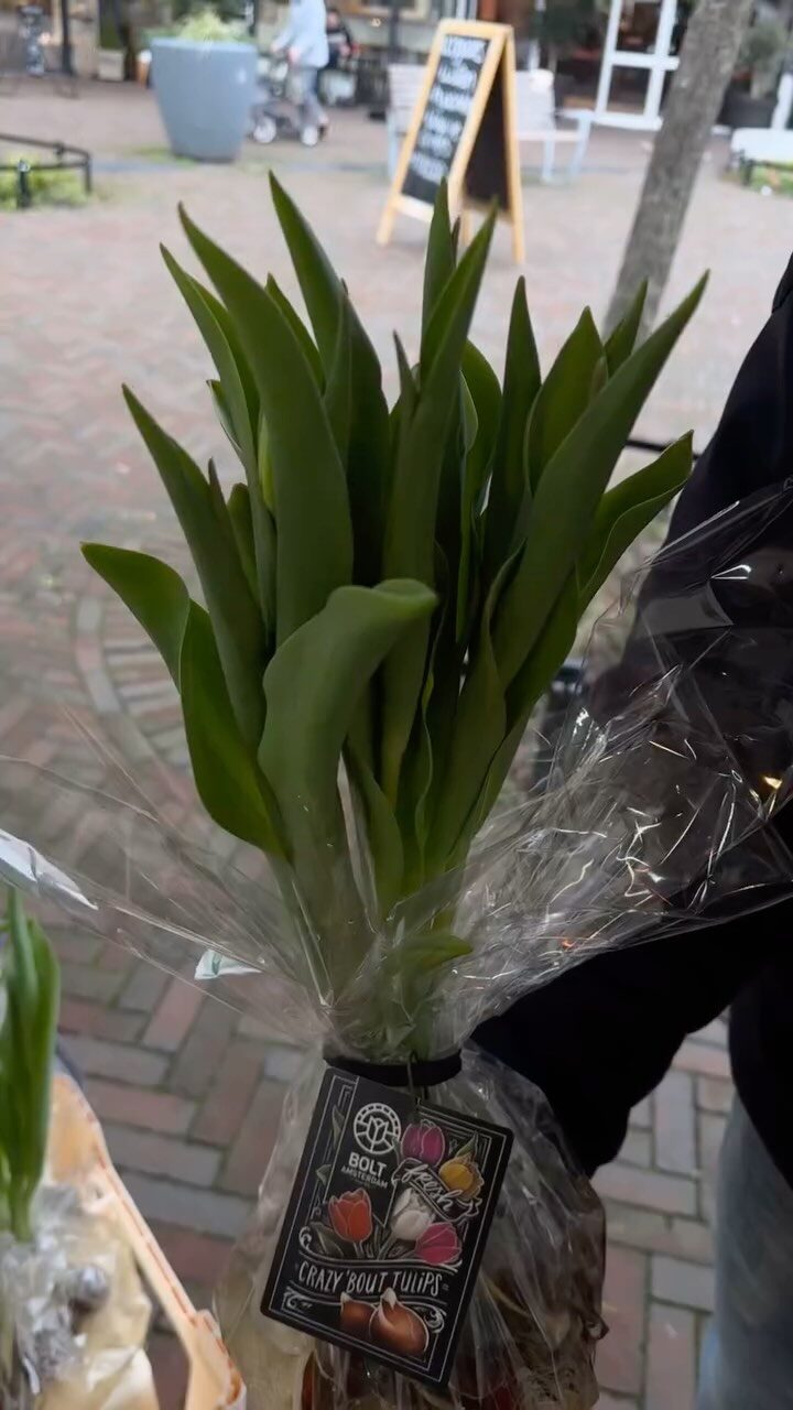 Niels puur!bloemen — photo 3