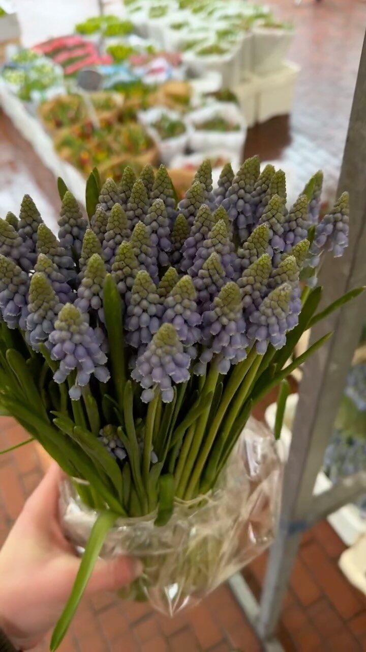 Niels puur!bloemen — photo 4