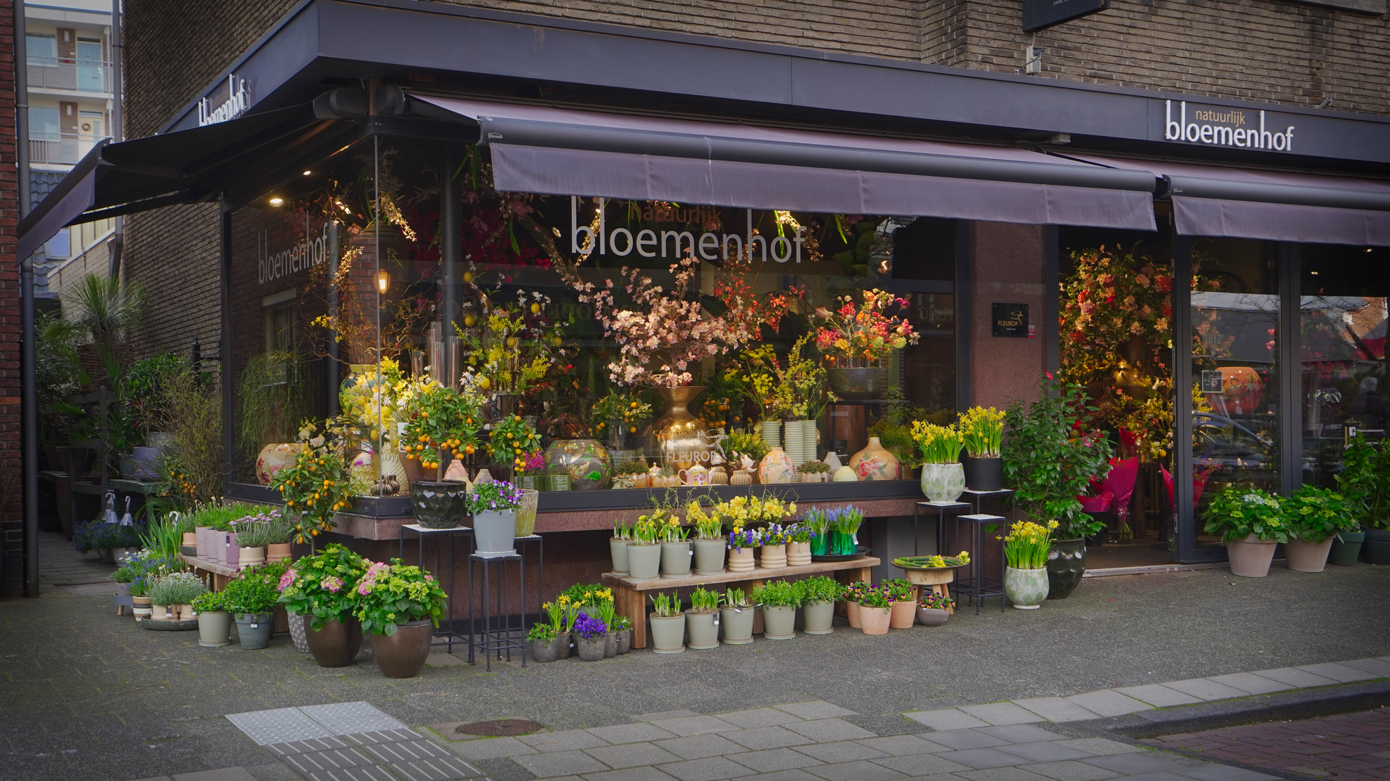 Bloemenhof — photo 3