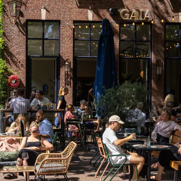 Gaia Delft — photo 3
