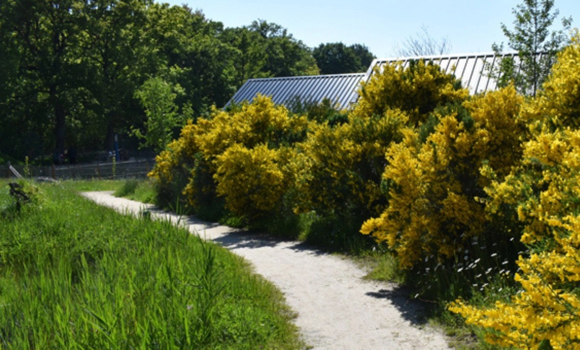 Hortus Haren — photo 3