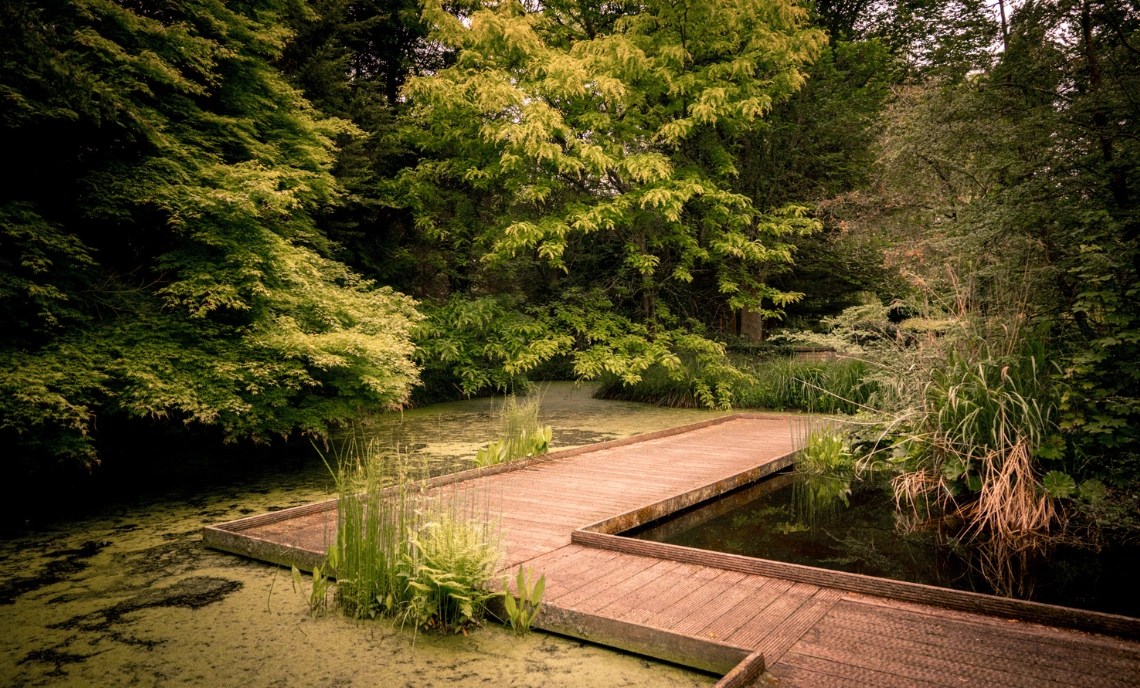 Hortus Haren — photo 4