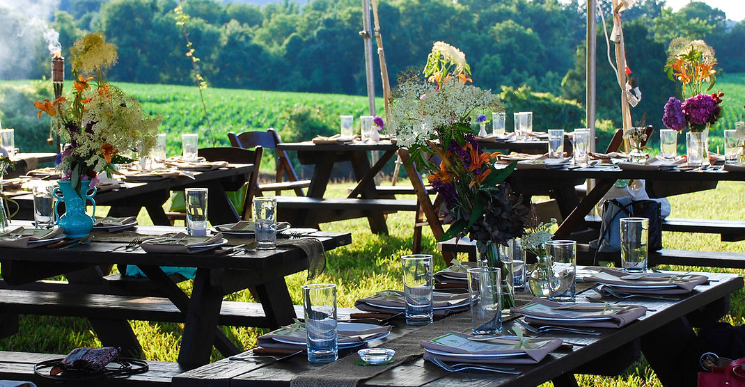 ABC Catering "De Vijf Sterren" — photo 2