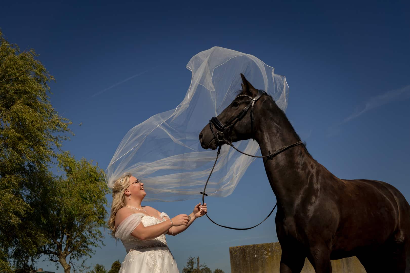 Jan Verburg fotografie — photo 3