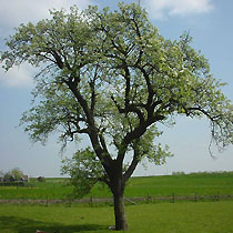 Boerderij de Zalm — photo 3