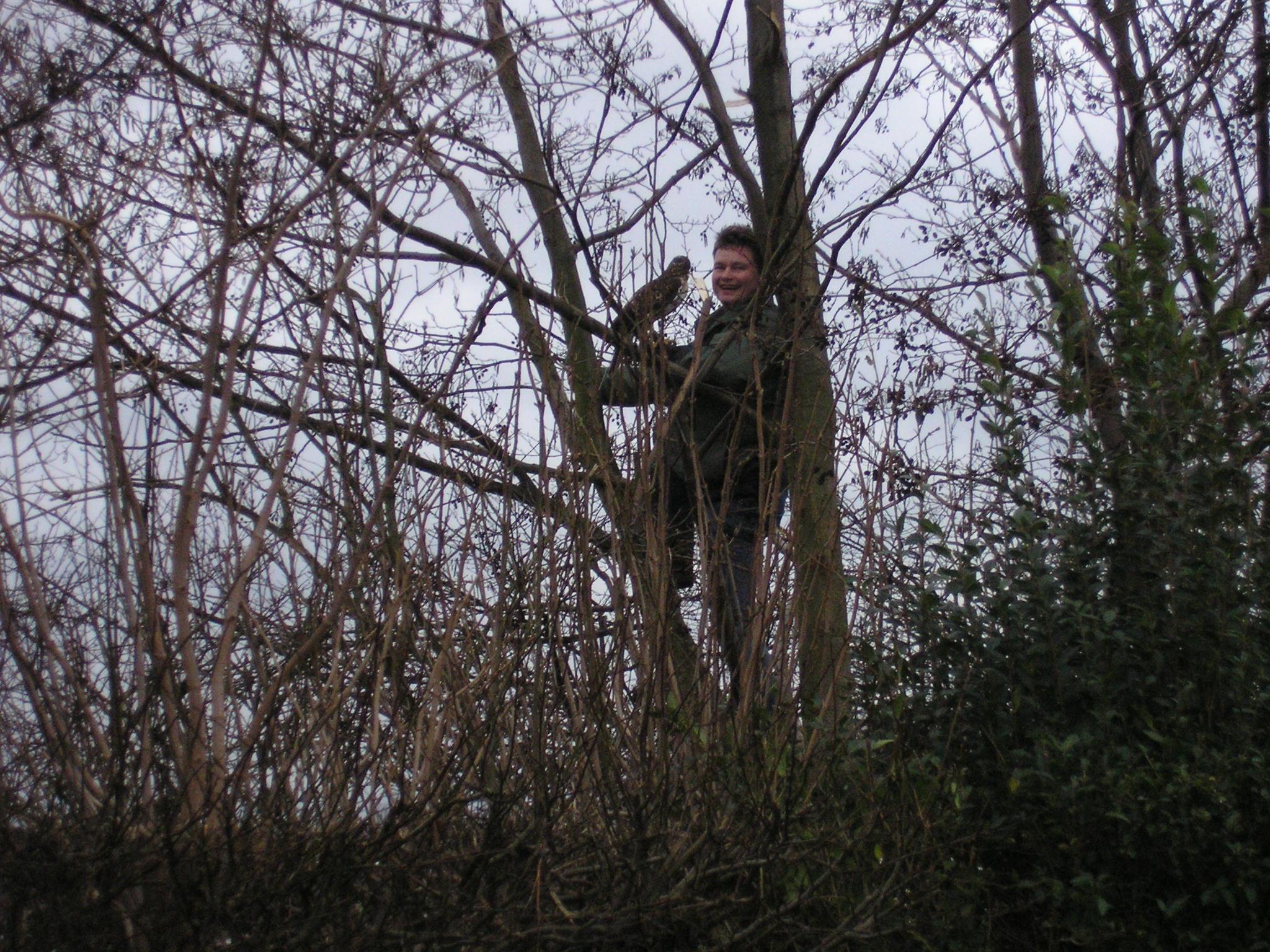 Bouman Roofvogels — photo 3
