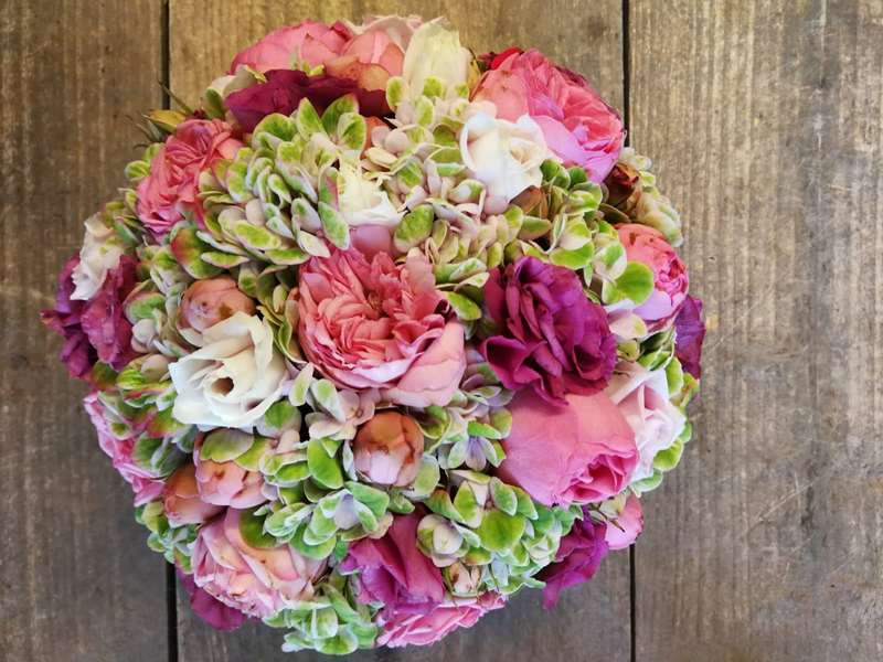 Pracht Bloemen — foto 2