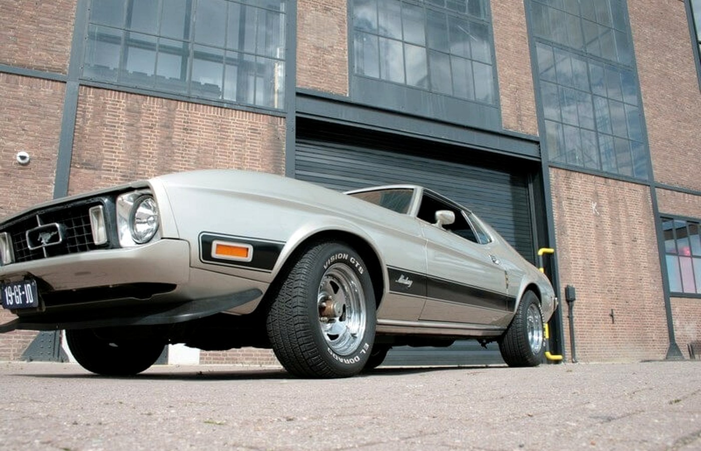 Mustang Rijden — photo 3
