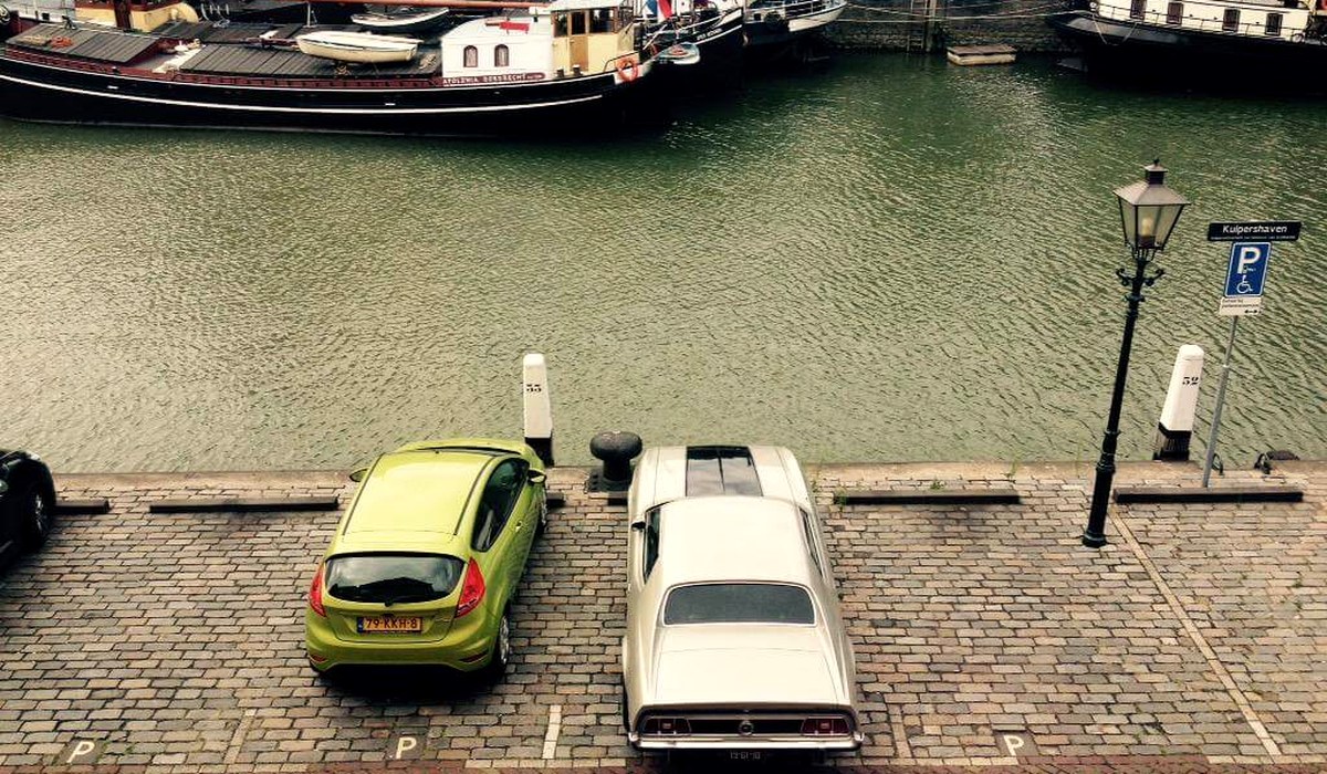 Mustang Rijden — photo 4