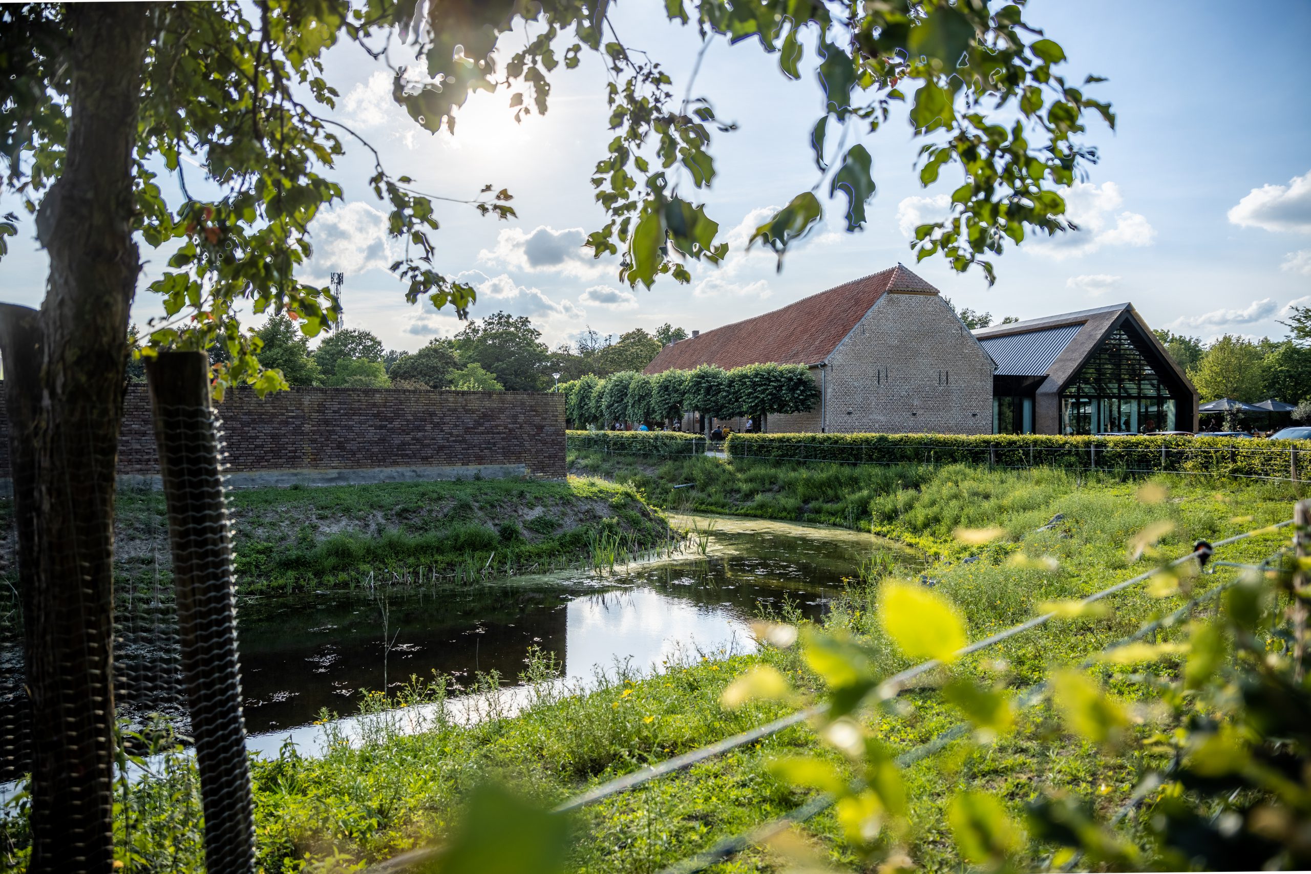 Graaf ter horst — photo 4