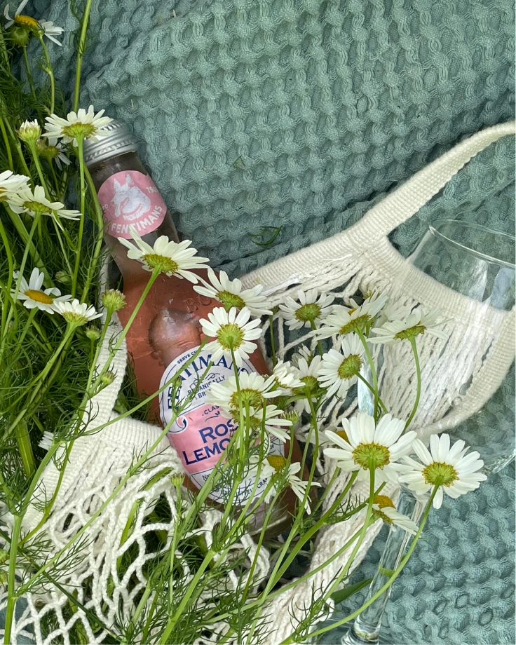 SIPS — photo 5