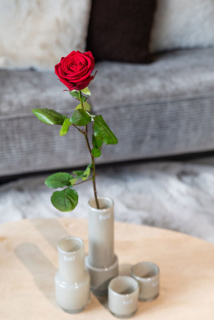 Extra Verte Bloem- en woondecoratie — photo 4