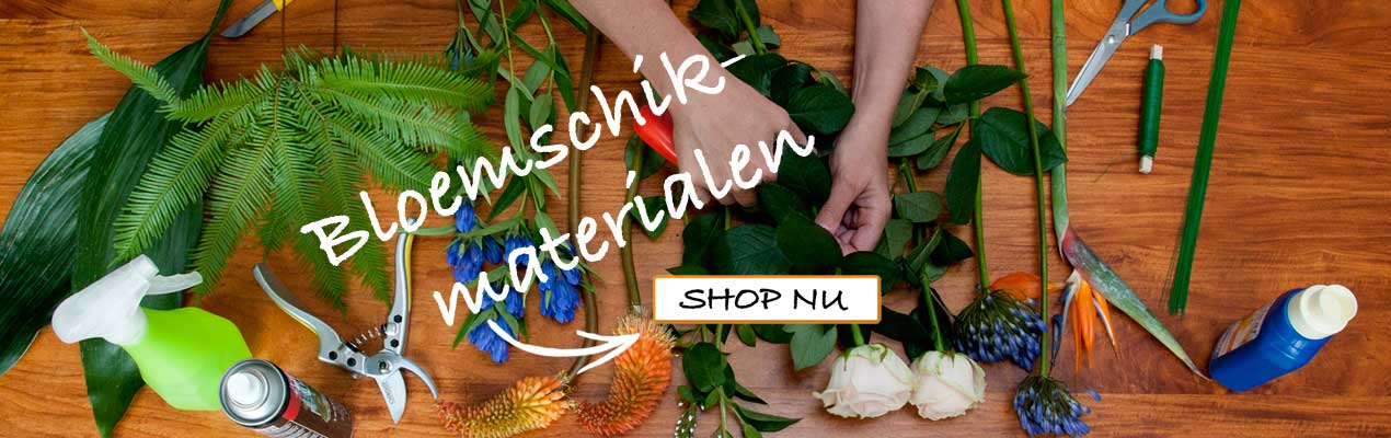 bloemschikwinkel.nl — photo 2