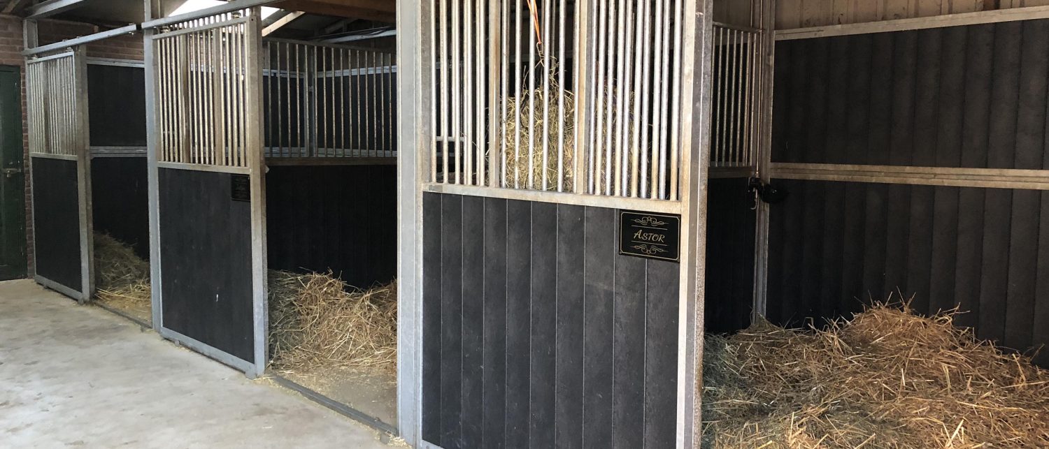 Manege de Eilandruiters — photo 3