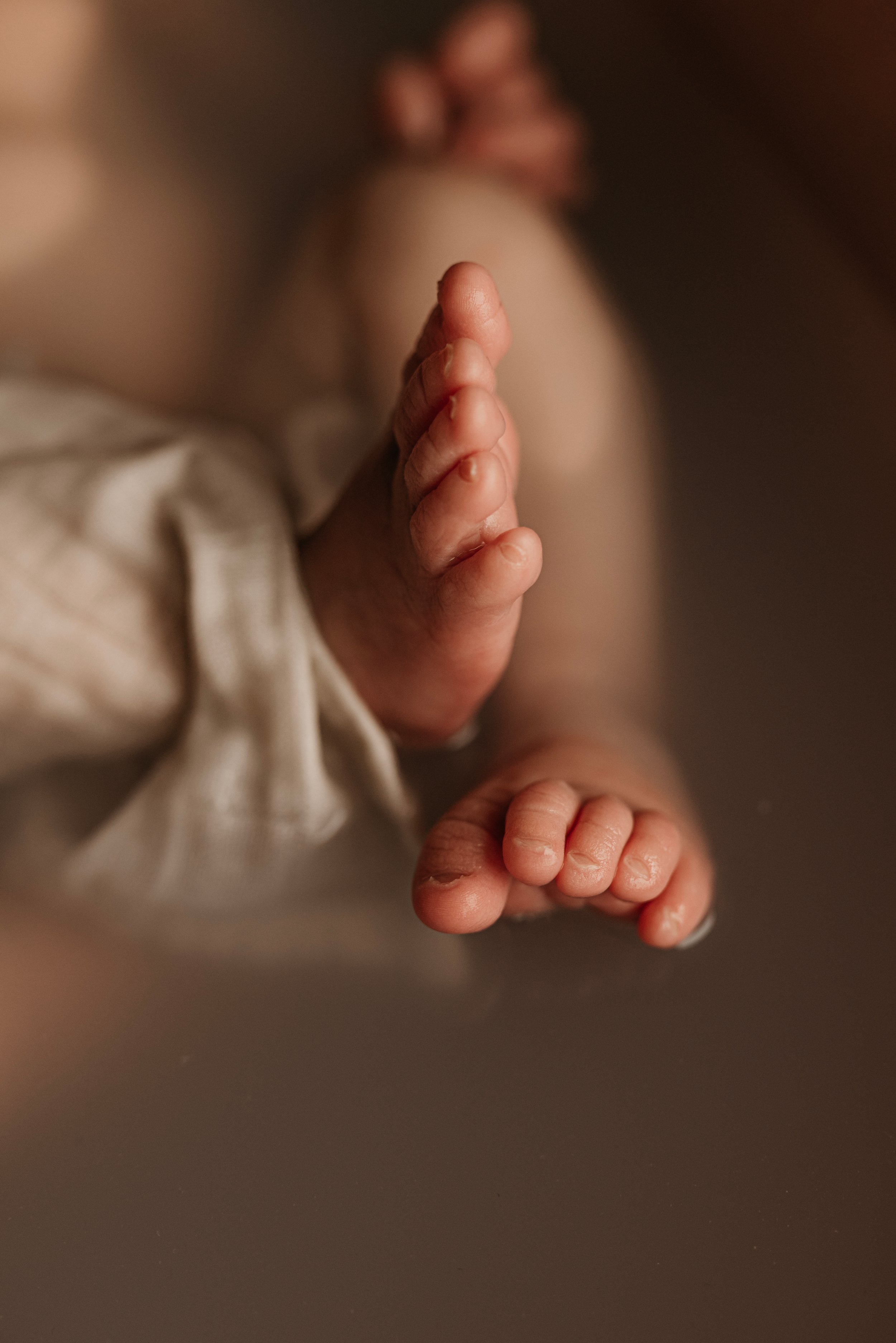 Petit Fotografie — photo 4