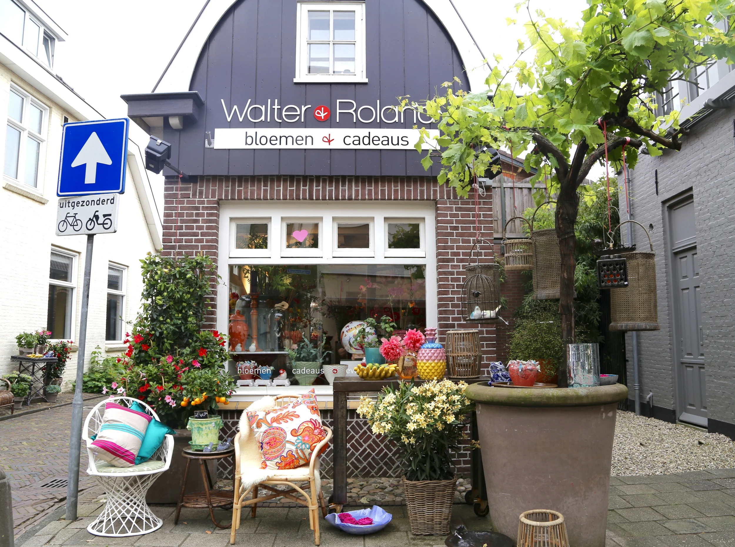 Walter & Roland — photo 2